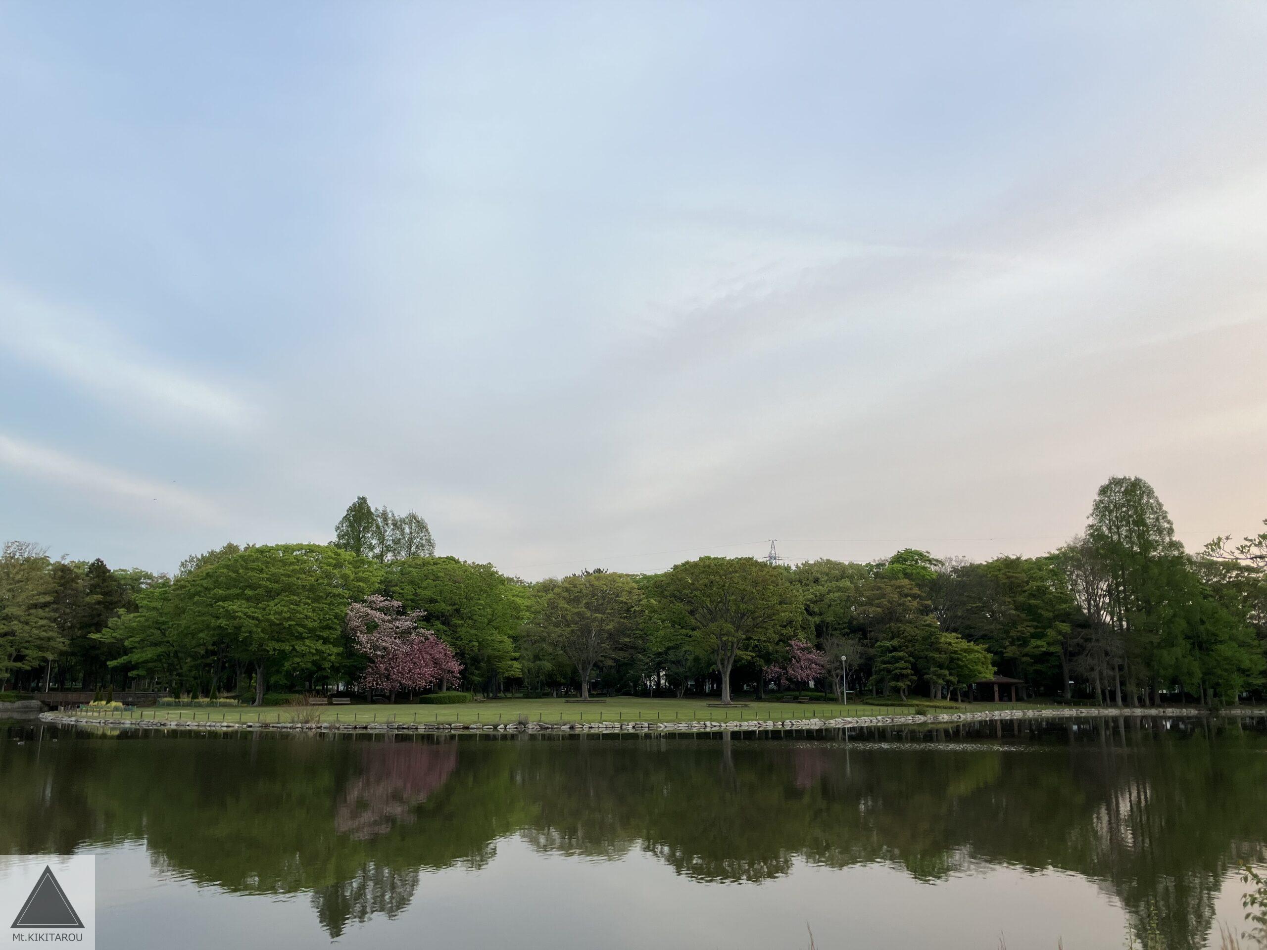 洞峰公園